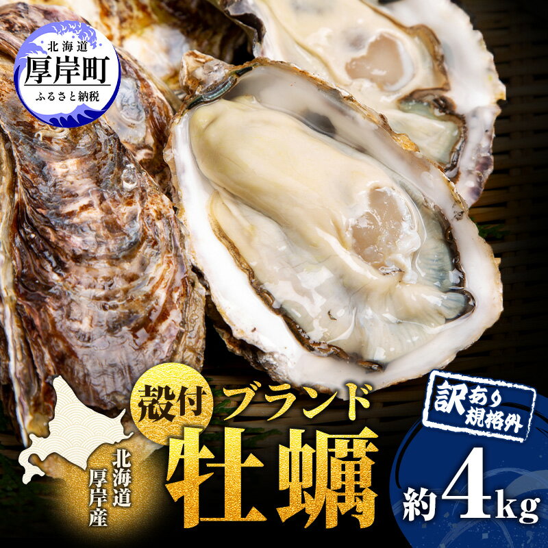 【ふるさと納税】お届け月が選べる 訳あり 牡蠣 北海道厚岸産 殻付カキ 約4kg (25から50個) カキナイフ付 生食 生牡蠣 貝付き牡蠣 貝 海鮮 魚介類 殻付き牡蠣 マルえもん　お届け：ご希望のお届け月をお選びください。※お届け月の変更はできません。