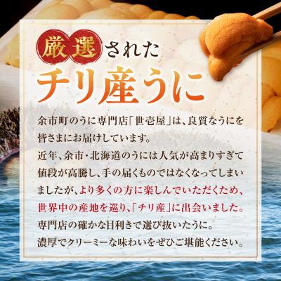 ふるさと納税 余市町 世壱屋 御雲丹 200g (チリ産) 100g×2パック_Y038-0104 |  | 01