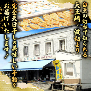 大王崎・天日干し干物セット / 伊勢 志摩 干物 ひもの 天日干し セット 国産 詰め合わせ 詰合せ 魚 魚介類 海鮮 旬 3～4種 冷凍 産地直送 朝食 三重県 10000円 一万円 【干物 ひもの