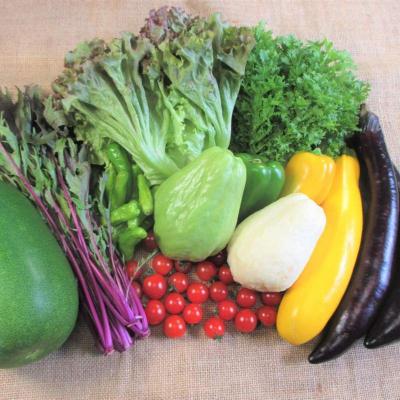 ふるさと納税 安芸高田市 旬の野菜・定期便(6か月)[No5895-0455] |  | 02