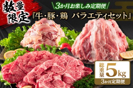 数量限定 3か月 お楽しみ 定期便 牛 豚 鶏 バラエティ セット 総重量5kg 肉 牛肉 宮崎牛 豚肉 鶏肉 国産 食品 おかず 切り落とし BBQ 送料無料_F57-21