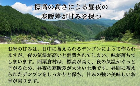 【6回定期便】白米 10kg 令和5年産 コシヒカリ 岡山 あわくら米米倶楽部 K-ag-CCZA