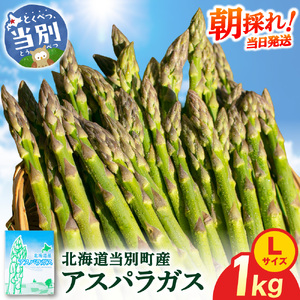 【2026年先行受付】とれたてグリーンアスパラ Lサイズ 1kg アスパラガス