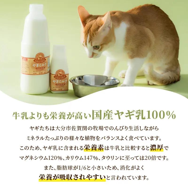 【敬老の日ギフト】 ワンちゃん、ネコちゃんの大好きなヤギミルク 200ml×12本 ≪9月21日お届け≫ R14080-K
