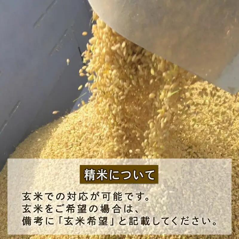 特別栽培米 コシヒカリ 計 10kg 令和7年度産 三間町特別栽培米生産組合 美沼姫 お弁当 おにぎり 玄米 対応可 ふっくら ツヤツヤ 甘い 三間米 米 国産 愛媛 宇和島 G030-032001