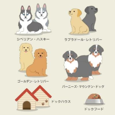 ふるさと納税 福島市 いぬつむ ナインディーnine-DNo.2818 |  | 02