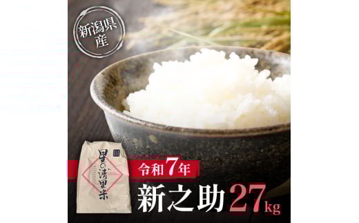 新米予約 令和7年 新潟県産新之助 27kg 27キロ 上越市清里区 丸山農場 白米 精米 送料無料 従来品種 希少 限定 先行予約