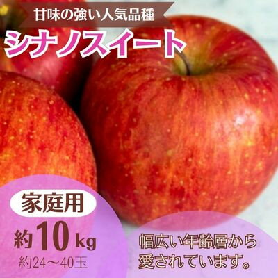 【ふるさと納税】シナノスイート 約10kg 家庭用(24～40玉)【1495961】
