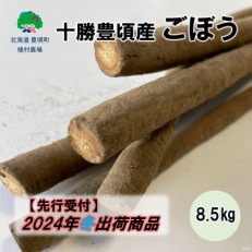 十勝豊頃産 植村農場のごぼう8.5kg 2024年冬以降出荷(先行受付)[No.58910606]