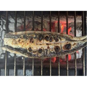 【国産うなぎ】特大サイズ180g-220g　三河一色産　6尾　炭火蒲焼き(タレ付き)【配送不可地域：離島】【1659385】