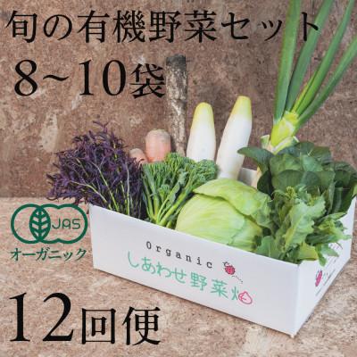 ふるさと納税 掛川市 【毎月定期便】しあわせ野菜畑の有機野菜　Mセット　(安心の有機JAS認証　オーガニック野菜)全12回