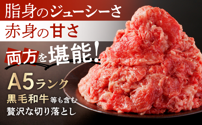 国産 牛肉 切り落とし400g 小分け (200g×2) 冷凍 真空 パック 小間切れ 牛丼 カレー 便利 お取り寄せ グルメ 食品 すき焼き しゃぶしゃぶ 鍋 焼肉 鉄板焼 おすすめ ギフト プレゼ