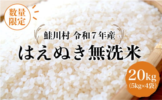 ＜令和7年産 鮭川村 はえぬき＞【無洗米】20kg （5kg×4袋）＜配送時期指定可＞ ◇数量限定となります◇