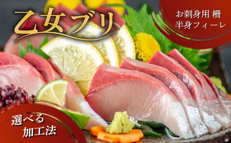 
            乙女 ブリ 選べる 加工 お刺身 柵 半身 フィーレ 産地直送 新鮮 ブランド 鰤  ぶり しゃぶ 切り身 高知県 須崎市 年末 年始 鮮魚 刺身 魚 下処理 有 KS0321-xALL
          