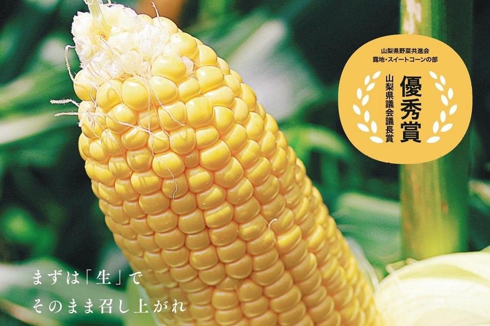 【2024年7月発送】【先行受付・数量限定】メロンより甘い！生で美味しいとうもろこし富士恵味１０本セット