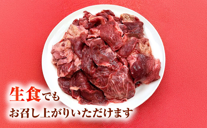 【全6回定期便】詰め合わせ 国内加工 ペット用 馬肉 切り落とし 1kg ペット用 馬刺しジャーキー 100g(50g×2) 【合同会社　長岡フーズ】 [ZFR067]