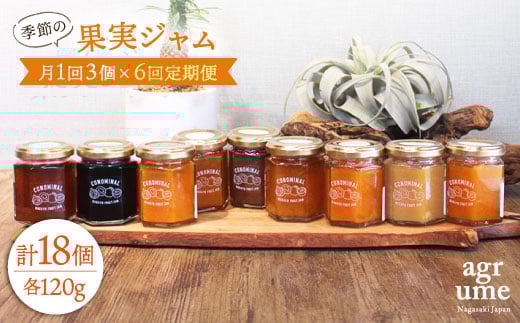 【全6回定期便】 季節の果実ジャム 毎月3本（120g/本） 長与町/アグリューム [EAI008] 瓶 個別 セット ジャム