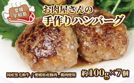 おかず お 肉屋 さんの 手作り ハンバーグ 泉精肉店 おかずおかずおかずおかずおかずおかずおかず E010-142001