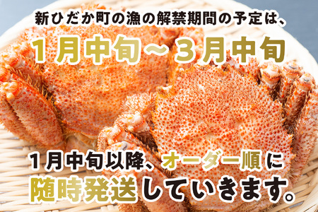 ＜2025年1月中旬から順次発送＞ 北海道産 かに 浜ゆで 毛ガニ 2尾 計 600g 以上 ＜ 予約商品 ＞ 毛がに かに 北海道 冷蔵 毛蟹 けがに 蟹 カニ かに味噌 カニ味噌 新鮮 旬 ボイル