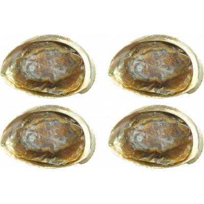 ふるさと納税 佐世保市 天然黒あわびのクエだし柔らか煮(中)4枚セット |  | 01