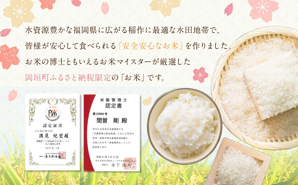 【令和7年産】福岡県産つやさくら 20kg