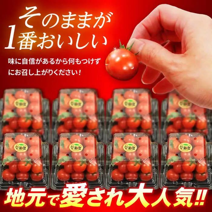 【先行予約※2026年11月より発送】愛果菜ミニトマト9P×1セット / トマト とまと ミニトマト プチトマト 愛果菜 / 諫早市 / 愛菜ファーム株式会社 [AHAK001]