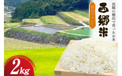 米 令和6年 西郷米 2kg 1袋 白米 [雲仙みずほの郷 長崎県 雲仙市 item2026] 令和6年産 お米 おこめ 精米