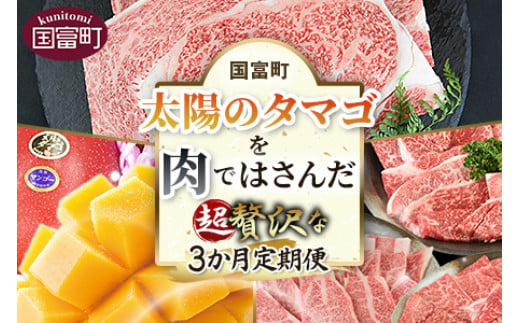 
期間限定＜太陽のタマゴを肉ではさんだ超贅沢な3か月定期便＞2025年4月から第一回目を順次出荷
