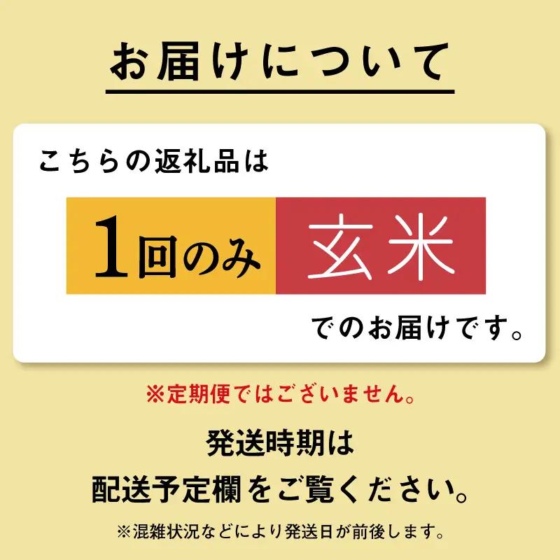 《先行予約》 玄米 令和8年産 あきたこまち 25kg 玄米