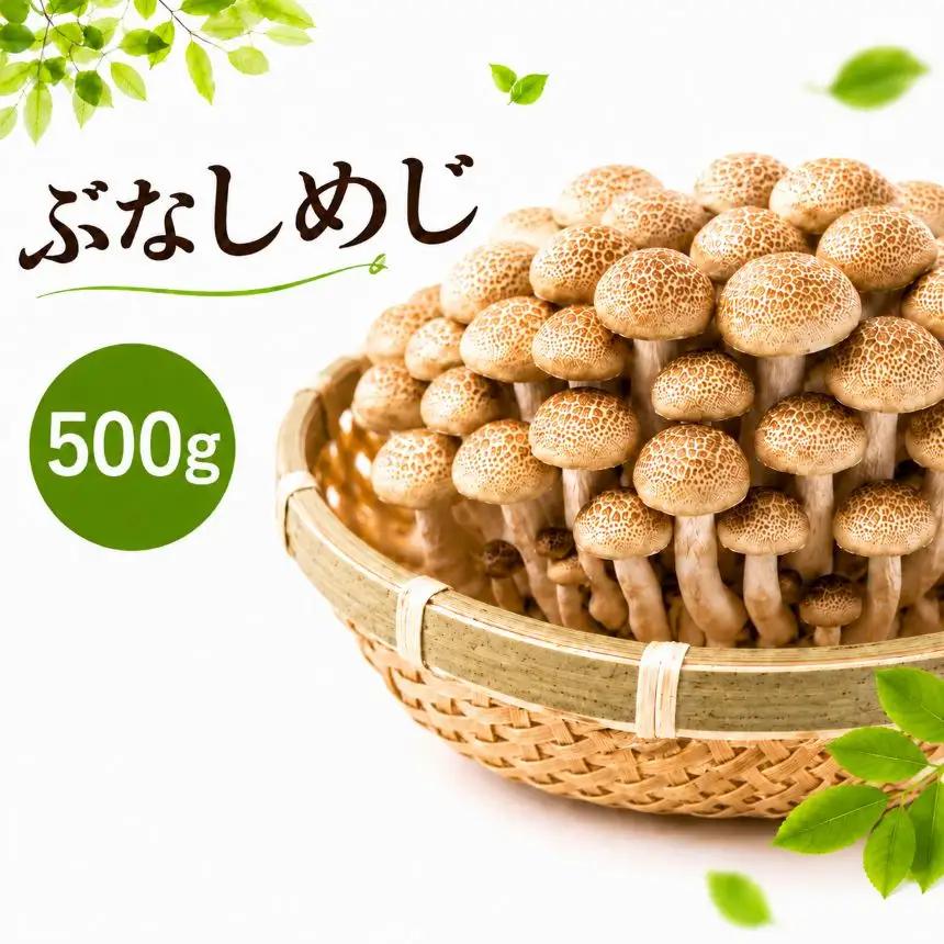 清らかな水と澄んだ空気が育てた、天龍村の ぶなしめじ 【1袋500g】