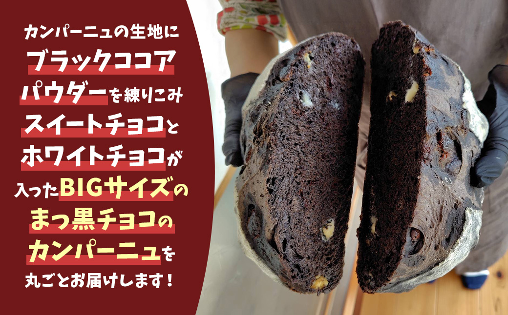 自家製天然酵母を使ったまっ黒チョコのカンパーニュ　【HTR-01】