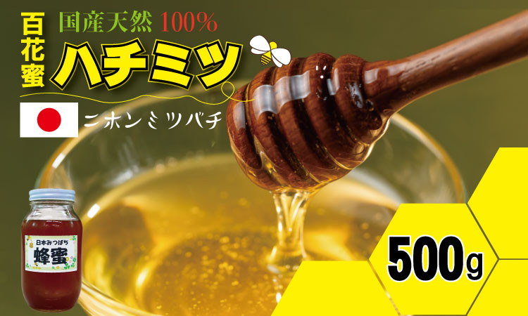 
            はちみつ（日本蜜蜂）蜂蜜（百花蜜）500g 西山養蜂 日本 ハチミツ honey
          