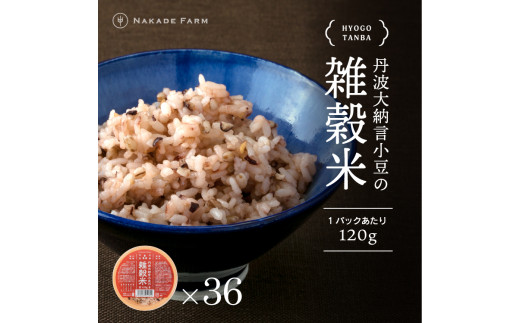 丹波大納言小豆 雑穀パックご飯 36個 兵庫県丹波市産 もちもち食感 大容量 まとめ買いお得