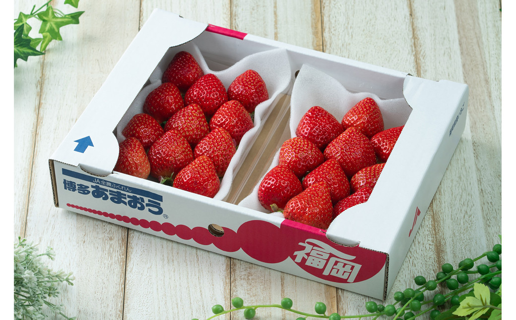 
            福岡産【冬】 あまおう 2パック いちご 苺 果物 フルーツ 福岡 太宰府【2025年12月上旬～2026年1月下旬発送予定】
          