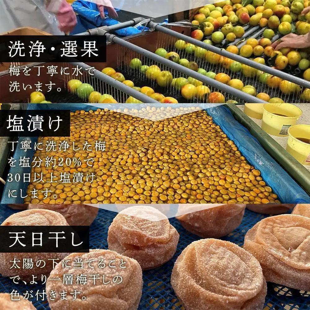 紀州南高梅使用 しそ仕込み完熟梅干し 約640g 塩分 約10％ [TM195]