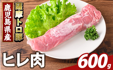 K-486-B 鹿児島県産 薩摩トロ豚 ヒレ肉(計600g)【KNOT】霧島市 ヒレ肉 国産 鹿児島県産 肉 精肉