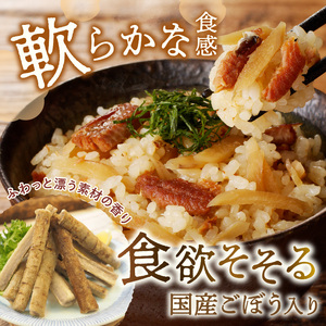 福岡の老舗が作る ごぼう入り穴子ごはんの素【A-833】福岡 博多 飯塚 炊き込み 炊き込み素 2合 穴子 魚 ごぼう