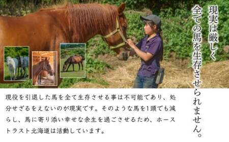 ホーストラスト引退馬支援1万円分