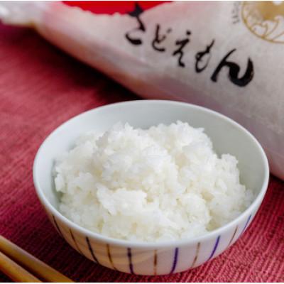 ふるさと納税 佐渡市 自社栽培米新潟県【佐渡産】こしひかり(精米30kg)