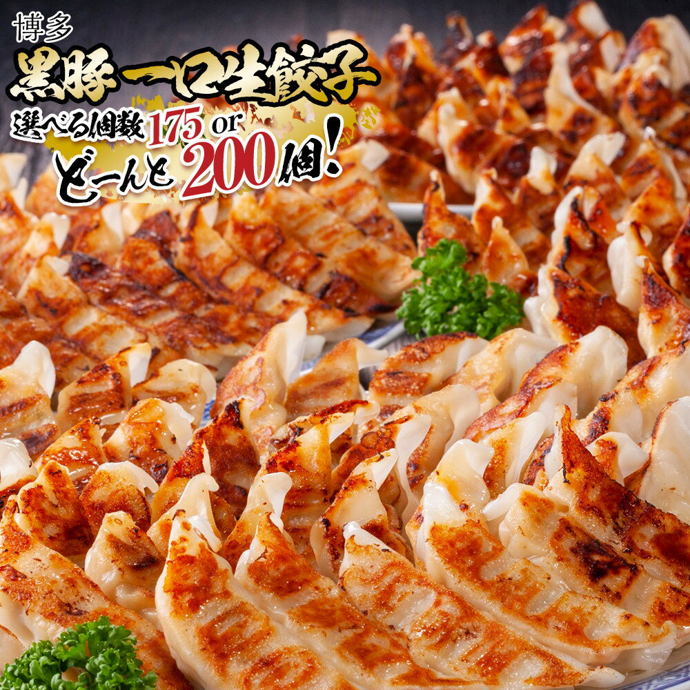 博多黒豚一口生餃子 200個入 (8パック) 冷凍便