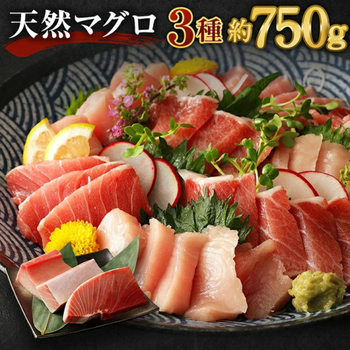 厳選 天然 マグロ ３種 セット【 ミナミ鮪 メバチ鮪 ビンチョウ鮪】７５０ｇ以上 南マグロ メバチマグロ ビンチョウマグロ 冷凍 海鮮 丼