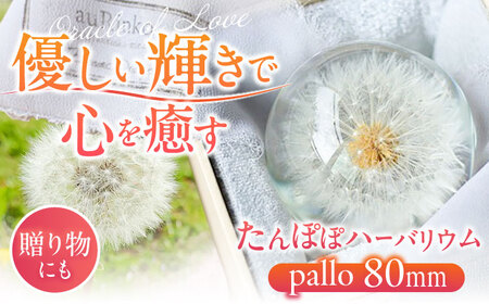 【pallo 80mm】たんぽぽハーバリウム / インテリア 雑貨 フラワー ナチュラル / 亀山市 / auRinko [AMBL002]
