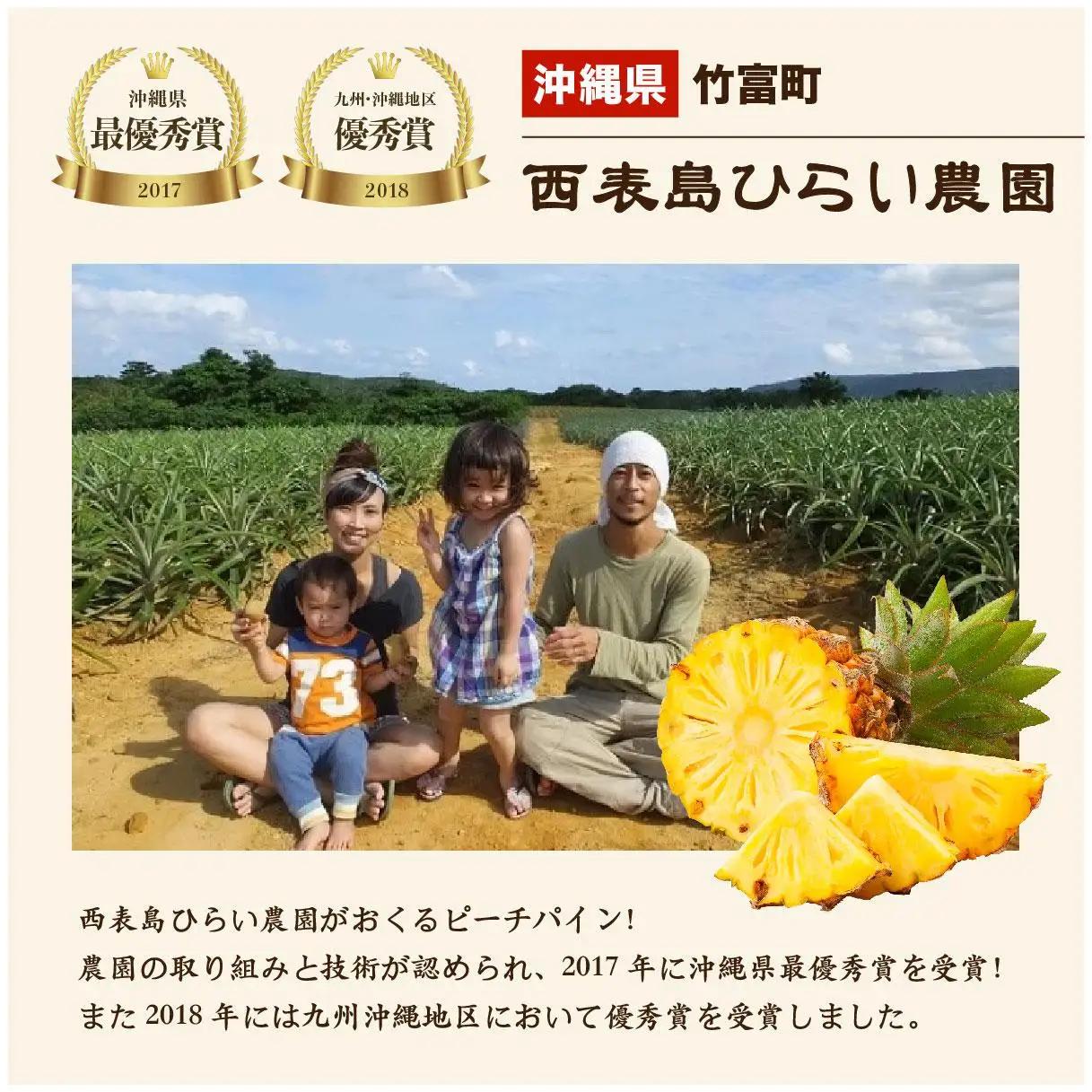 【2027年 先行予約】ピーチパイン 約3kg 