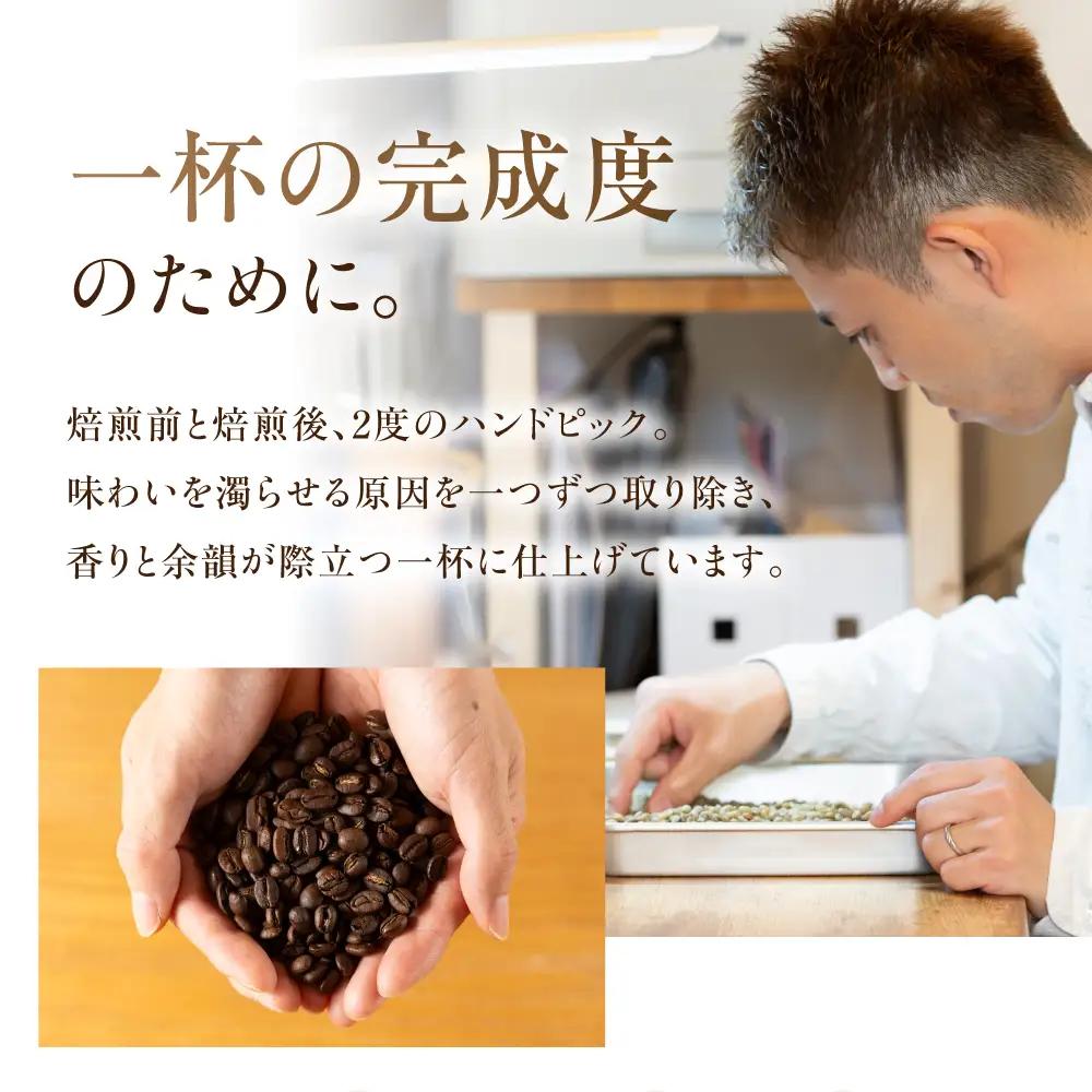 【定期便6か月】超希少種コーヒー 豆『エチオピア ゲイシャ』ゲシャビレッジ農園