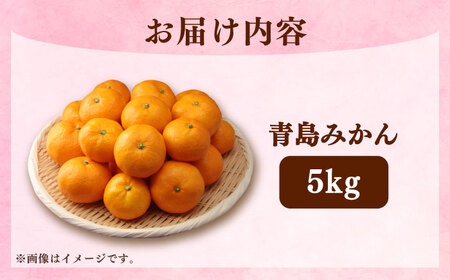 青島みかん 5kg（箱込み）長与町/岩永農園[EAZ008]