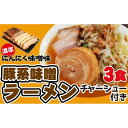 【ふるさと納税】濃厚にんにく味噌味！≪豚系・味噌ラーメン3食・5食》チャーシュー付き