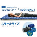 【ふるさと納税】姿勢矯正 就寝パッド nobiraku "ノビラク"【スモールサイズ・キャリーケース付き】/送料無料 福井県 越前市 首 肩 腰 腰痛 頸椎 のびらく マットレス コンパクト (18209)