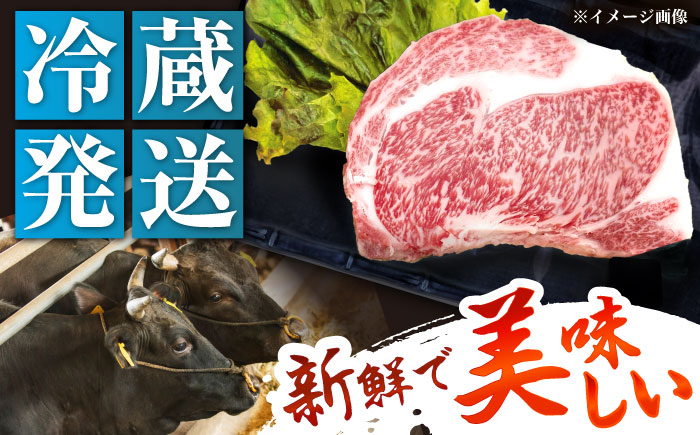 【チルド（冷蔵）発送！】 「飛騨牛」 A5等級 リブロース ステーキ用 300g / 牛肉 焼肉 鉄板焼き 網焼き BBQ/ 恵那市 / 東美濃農業協同組合 [AUFX020]
