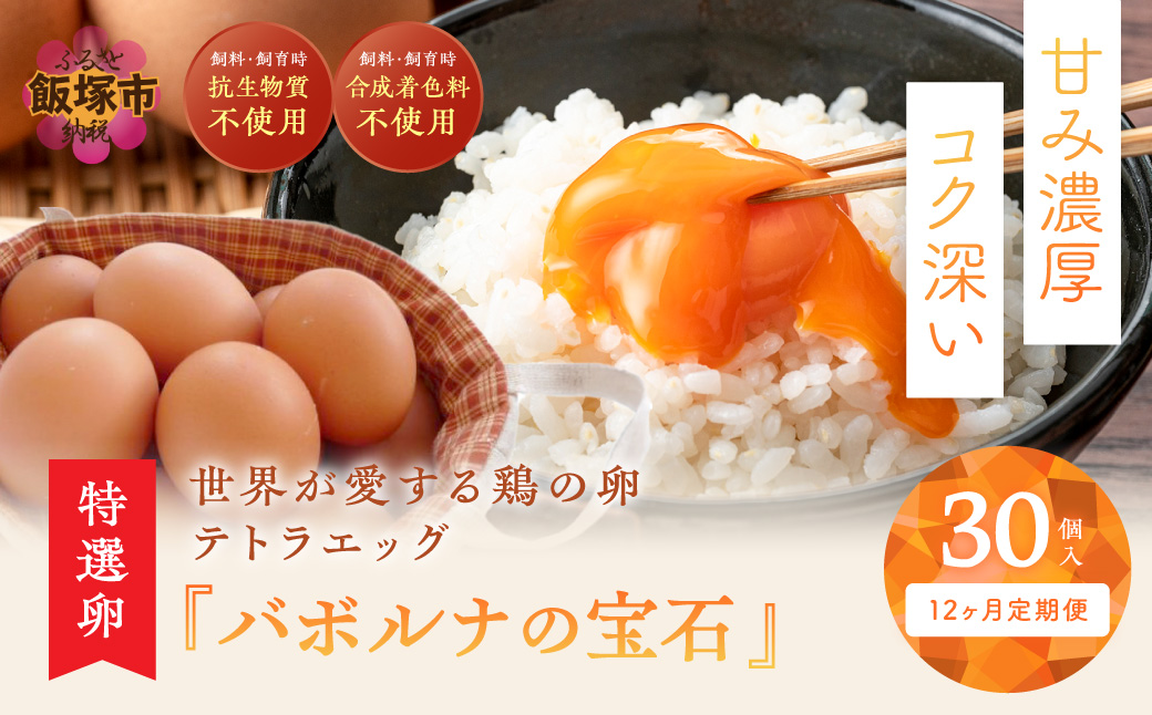 【J11-001】テトラエッグ特選卵『バボルナの宝石』（30個/月）【12カ月定期便】