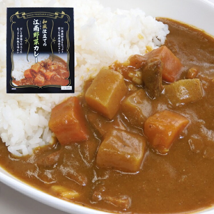 【ふるさと納税】 カレー レトルト 和風仕立ての「江南野菜カレー」 220g 10個 [江南商工会議所 愛知県 江南市 ko23btu330000] レトルト食品 簡単 時短 お手軽 便利 簡単調理